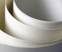 PTFE schwerer Riemen PTFE schwerer Riemen